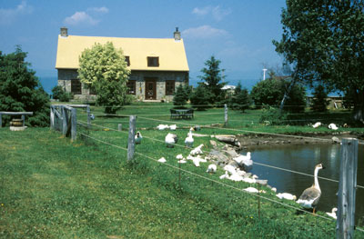 Domaine Steinbach, Île d’Orléans